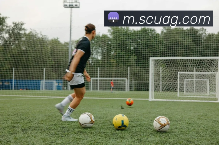 App Interface Preview