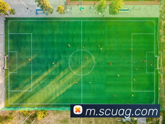 ag官网APP 封面图